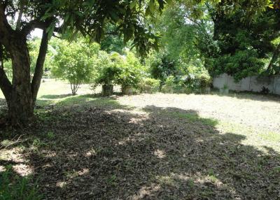 Land For Sale in Hang Hong, Sakon Nakhon, Thailand