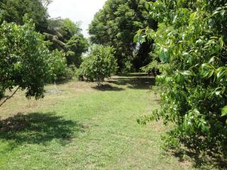 Land For Sale in Hang Hong, Sakon Nakhon, Thailand