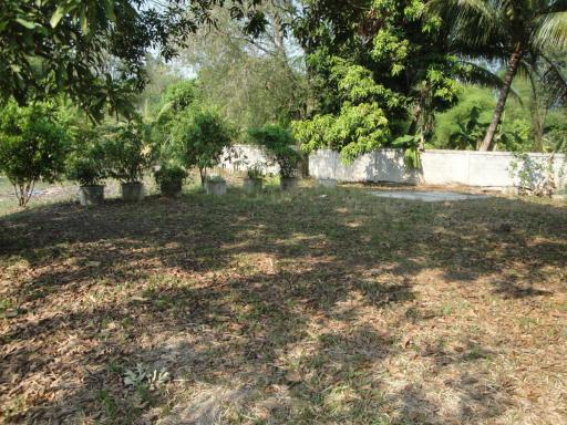 Land For Sale in Hang Hong, Sakon Nakhon, Thailand