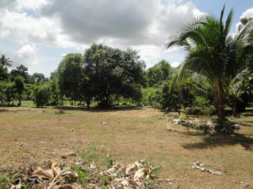 Land For Sale in Hang Hong, Sakon Nakhon, Thailand