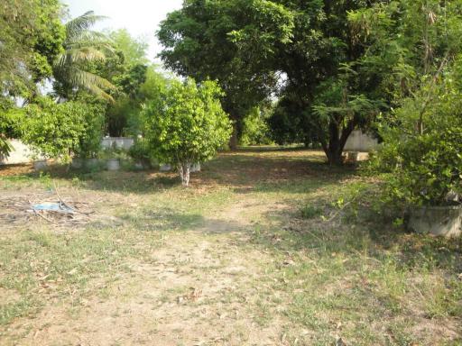 Land For Sale in Hang Hong, Sakon Nakhon, Thailand