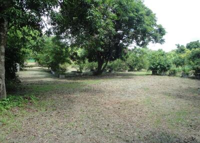 Land For Sale in Hang Hong, Sakon Nakhon, Thailand