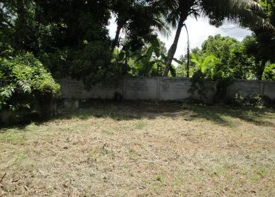 Land For Sale in Hang Hong, Sakon Nakhon, Thailand