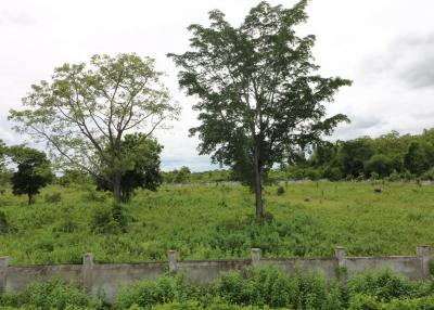 10+ Rai Land For Sale Adjoining Chang International Circuit, Buriram, Thailand