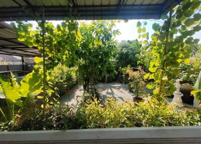 Lovely Single House for Rent in Pattaya