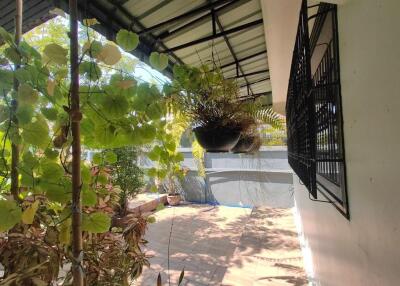 Lovely Single House for Rent in Pattaya