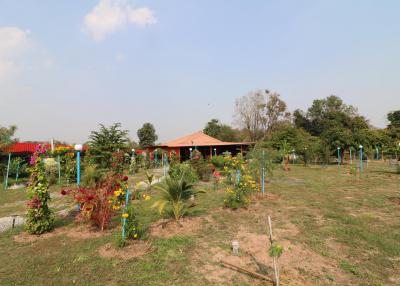 Buy This 2 Bedroom, 2 Bathroom House on 2 Rai of Productive Land in Udon Thani, Thailand