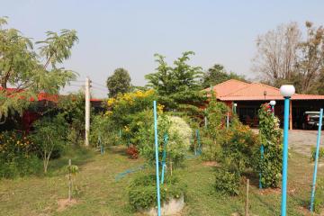 Buy This 2 Bedroom, 2 Bathroom House on 2 Rai of Productive Land in Udon Thani, Thailand