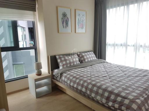 For Rent 2 Bedrooms Ideo O2 Bangna