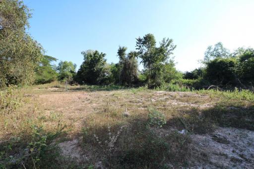 1 Ngan, 55 Sq. Wah Land For Sale, Non Sung, Udon Thani, Thailand