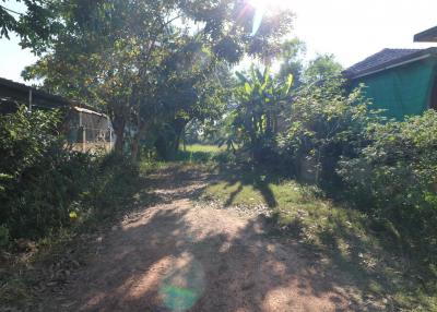 1 Ngan, 55 Sq. Wah Land For Sale, Non Sung, Udon Thani, Thailand