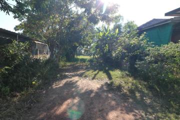 1 Ngan, 55 Sq. Wah Land For Sale, Non Sung, Udon Thani, Thailand