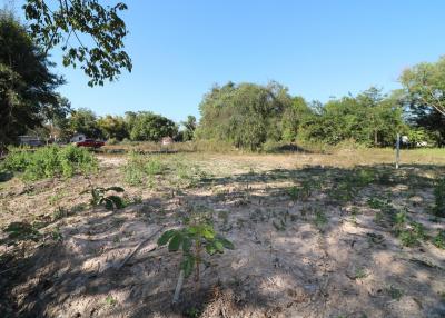 1 Ngan, 55 Sq. Wah Land For Sale, Non Sung, Udon Thani, Thailand