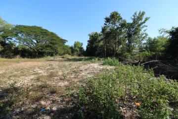 1 Ngan, 55 Sq. Wah Land For Sale, Non Sung, Udon Thani, Thailand