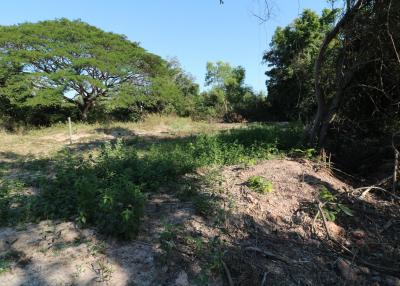 1 Ngan, 55 Sq. Wah Land For Sale, Non Sung, Udon Thani, Thailand