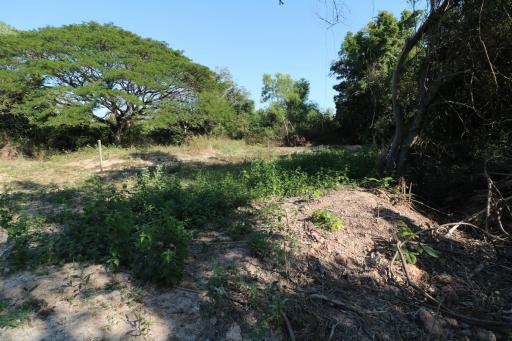 1 Ngan, 55 Sq. Wah Land For Sale, Non Sung, Udon Thani, Thailand