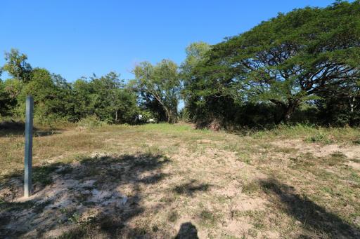 1 Ngan, 55 Sq. Wah Land For Sale, Non Sung, Udon Thani, Thailand