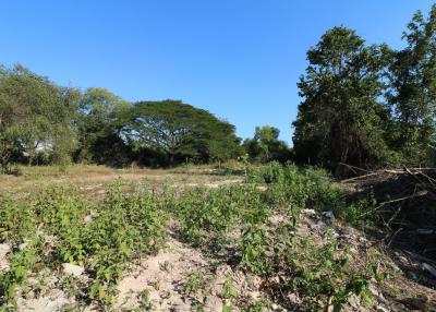 1 Ngan, 55 Sq. Wah Land For Sale, Non Sung, Udon Thani, Thailand