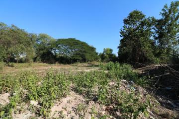 1 Ngan, 55 Sq. Wah Land For Sale, Non Sung, Udon Thani, Thailand