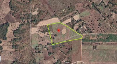 Approximately 36 Rai Of Excellent Farmland Available Near Nong Bua Lam Phu, Thailand