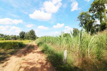 Approximately 36 Rai Of Excellent Farmland Available Near Nong Bua Lam Phu, Thailand