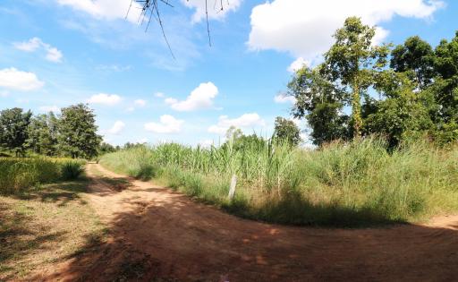 Approximately 36 Rai Of Excellent Farmland Available Near Nong Bua Lam Phu, Thailand