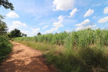 Approximately 36 Rai Of Excellent Farmland Available Near Nong Bua Lam Phu, Thailand