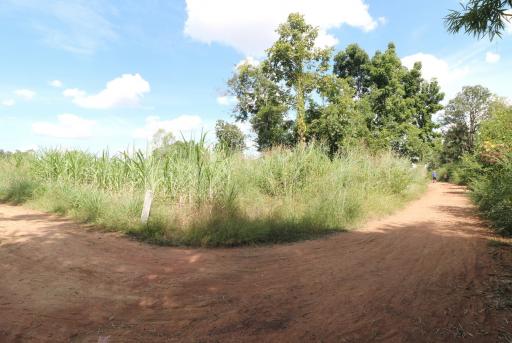 Approximately 36 Rai Of Excellent Farmland Available Near Nong Bua Lam Phu, Thailand