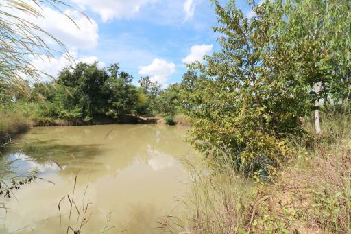 Approximately 36 Rai Of Excellent Farmland Available Near Nong Bua Lam Phu, Thailand