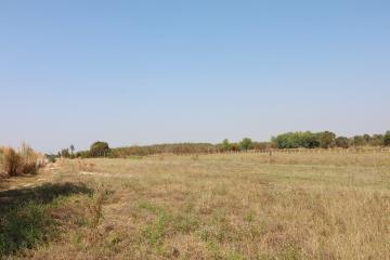 39+ Rai Of Land For Sale, 4 Km