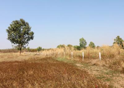 39+ Rai Of Land For Sale, 4 Km