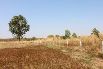 39+ Rai Of Land For Sale, 4 Km