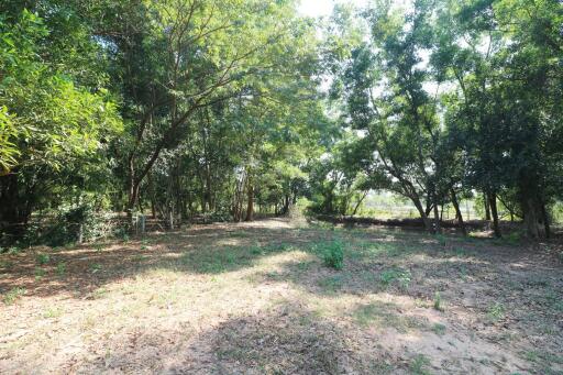 2+ Rai Of Levelled Land For Sale In A Secluded Area Of Ban Lueam, Udon Thani, Thailand