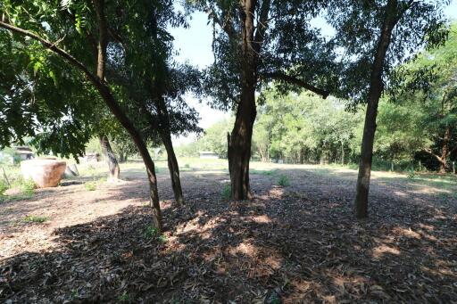 2+ Rai Of Levelled Land For Sale In A Secluded Area Of Ban Lueam, Udon Thani, Thailand