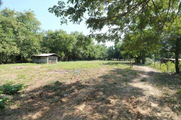 2+ Rai Of Levelled Land For Sale In A Secluded Area Of Ban Lueam, Udon Thani, Thailand