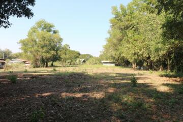 2+ Rai Of Levelled Land For Sale In A Secluded Area Of Ban Lueam, Udon Thani, Thailand