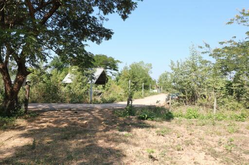 2+ Rai Of Levelled Land For Sale In A Secluded Area Of Ban Lueam, Udon Thani, Thailand