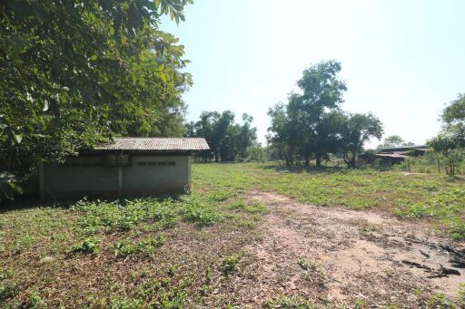 2+ Rai Of Levelled Land For Sale In A Secluded Area Of Ban Lueam, Udon Thani, Thailand