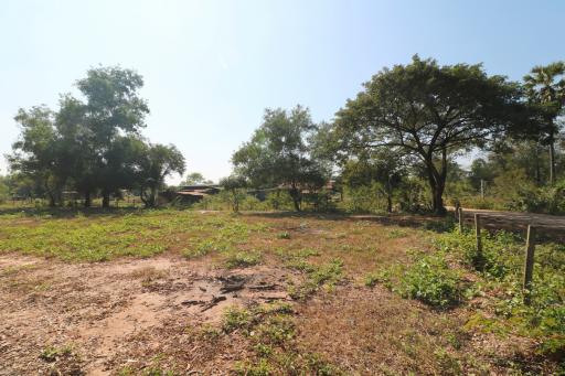 2+ Rai Of Levelled Land For Sale In A Secluded Area Of Ban Lueam, Udon Thani, Thailand