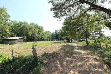 2+ Rai Of Levelled Land For Sale In A Secluded Area Of Ban Lueam, Udon Thani, Thailand