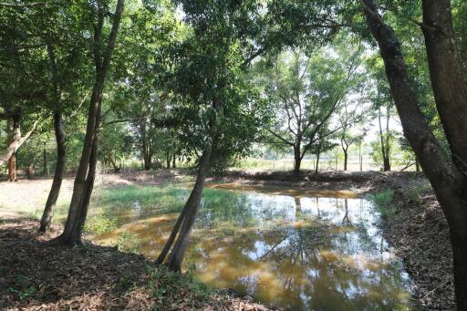 2+ Rai Of Levelled Land For Sale In A Secluded Area Of Ban Lueam, Udon Thani, Thailand