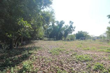 2+ Rai Of Levelled Land For Sale In A Secluded Area Of Ban Lueam, Udon Thani, Thailand