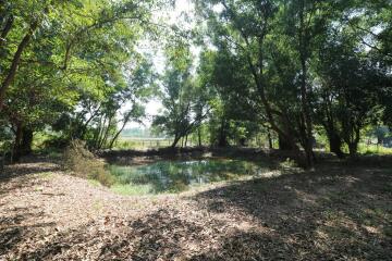 2+ Rai Of Levelled Land For Sale In A Secluded Area Of Ban Lueam, Udon Thani, Thailand