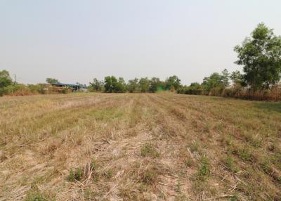 3 Rai Of Versatile Land For Sale In Sam Phrao, Udon Thani, Thailand