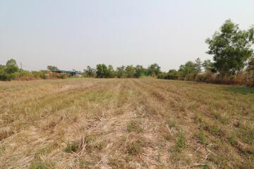 3 Rai Of Versatile Land For Sale In Sam Phrao, Udon Thani, Thailand