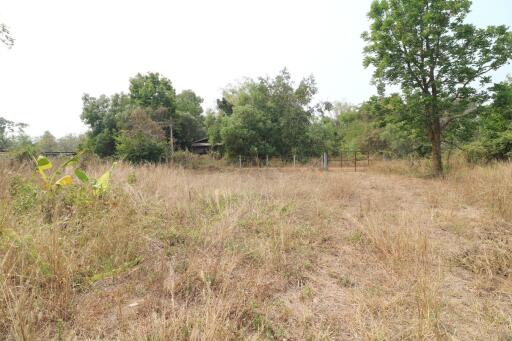 3 Rai Of Versatile Land For Sale In Sam Phrao, Udon Thani, Thailand