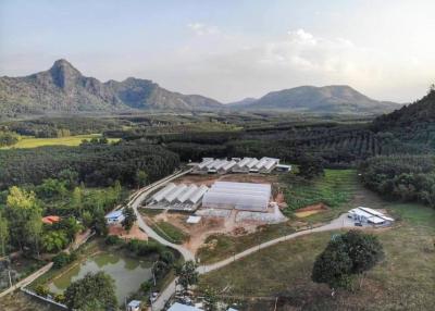 35+ Rai Of Land And Commercial Hydroponic Farm For Sale In Loei, Thailand