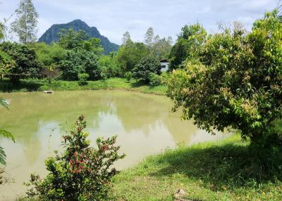 35+ Rai Of Land And Profitable Commercial Hydroponic Farm For Sale In Loei, Thailand