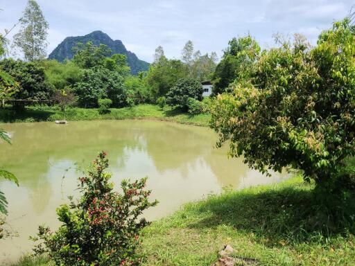 35+ Rai Of Land And Profitable Commercial Hydroponic Farm For Sale In Loei, Thailand