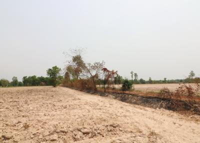 27 Rai, 3 Ngan, 40 Talang Wah Of Land For Sale, Nong Han, Udon Thani Province, Thailand